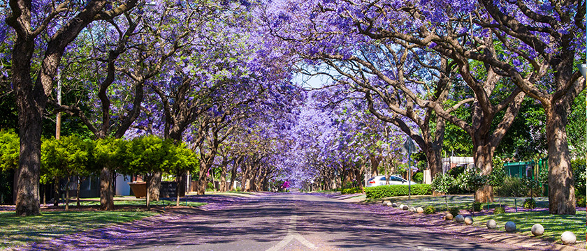 johannesburg